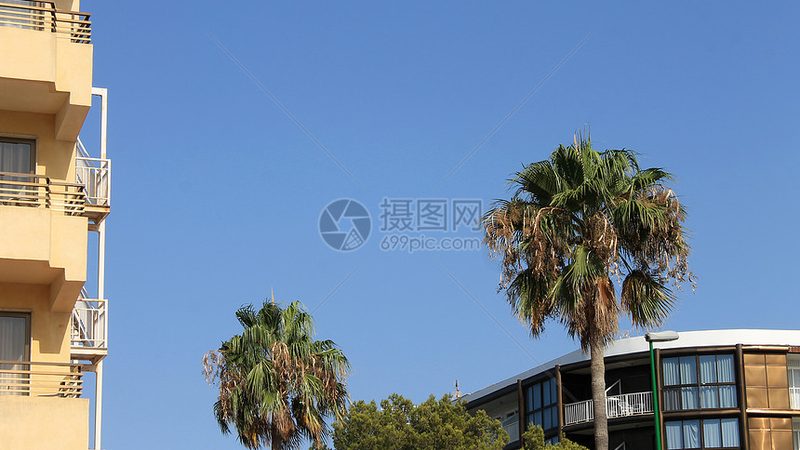 邮轮上的网络连接主要有以下几种方式：